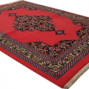 Persian Carpet: Orange Toranj Pattern 6