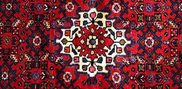 Persian Carpet: Red Hamedan Pattern 6