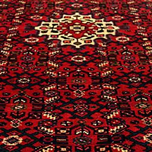 Persian Carpet: Red Hamedan Pattern 8