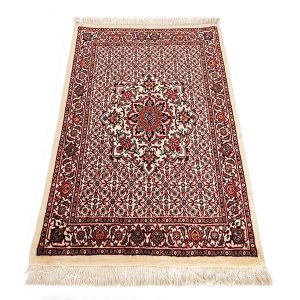 Persian Carpet: Cream Bidjar Pattern 11
