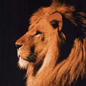 Alfombra persa: el león (hecho a mano) 11