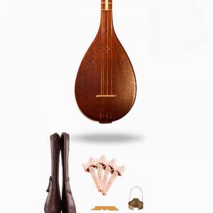 Persian Quality Setar (Sitar), String Musical Instrument 17
