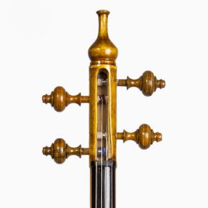Kamancheh, Bowed Musical Instrument 11