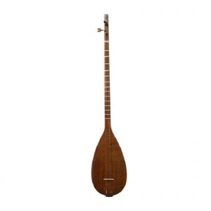 Persian Tanbur, String Musical Instrument