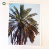 Original Postcard, Limited editions (Persian Nature)